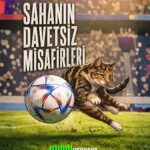 Sahaya aniden bir kedi, köpek ya da taraftar girdiğinde oyun hemen durmak zorunda mı? IFAB kuralları bu…